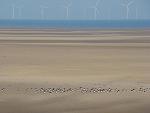 Click image for larger version. 

Name:	Liverpool Bay from Leasowe DSC05029R.jpg 
Views:	432 
Size:	50.1 KB 
ID:	4451