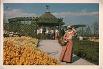 Click image for larger version. 

Name:	Liverpool International Garden Festival Post Cards (3).jpg 
Views:	796 
Size:	81.6 KB 
ID:	28295