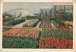 Click image for larger version. 

Name:	Liverpool International Garden Festival Post Cards (8).jpg 
Views:	596 
Size:	96.5 KB 
ID:	28301
