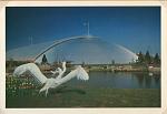 Click image for larger version. 

Name:	Liverpool International Garden Festival Post Cards (18).jpg 
Views:	535 
Size:	68.9 KB 
ID:	28310