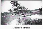 Click image for larger version. 

Name:	JACKSON'S POND.jpg 
Views:	397 
Size:	125.1 KB 
ID:	21239